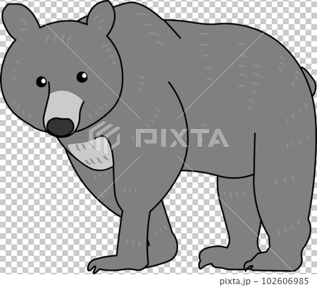 大人のクマの全身イラスト 102606985
