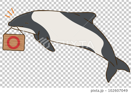 White-backed dolphin with a circle mark 102607049
