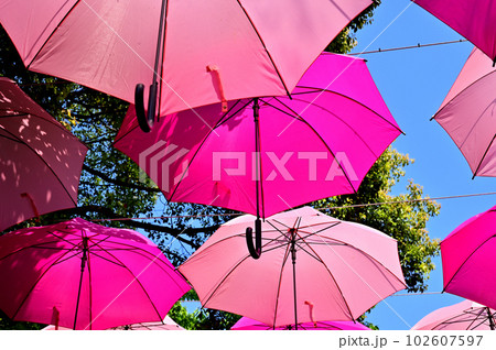 アンブレラスカイ アンブレラスカイ 102607597