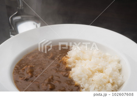 カレーライス カレーライス 102607608