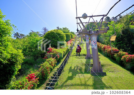 伊豆小室山つつじ園 伊豆小室山つつじ園 102608364