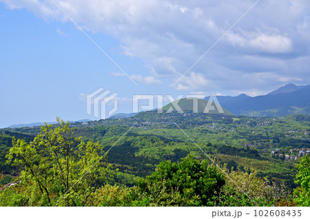 伊豆小室山つつじ園 伊豆小室山つつじ園 102608435