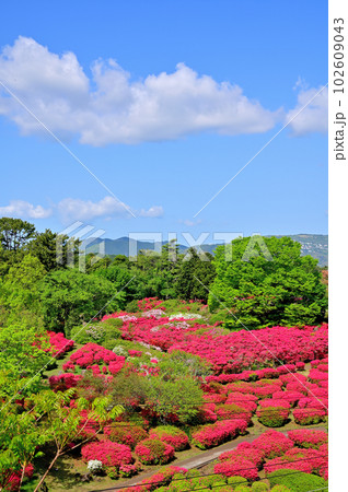 伊豆小室山つつじ園 伊豆小室山つつじ園 102609043