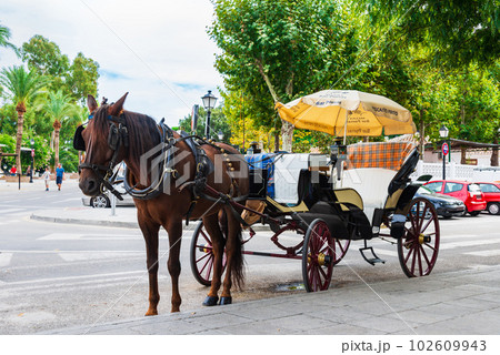 スペイン　ミハスの観光馬車 102609943