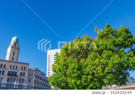 【神奈川の都市風景】横浜みなとみらい周辺の風景（横浜税関） 102610249