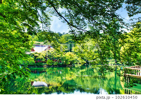 新緑の綺麗な春井の頭恩賜公園 井の頭弁財天の風景 102610450