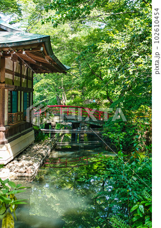 新緑の綺麗な春井の頭恩賜公園 井の頭弁財天の風景 102610454