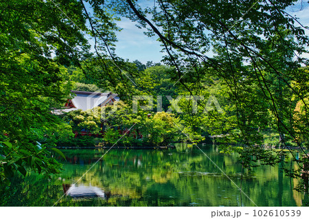 新緑の綺麗な春井の頭恩賜公園 井の頭弁財天の風景 新緑の綺麗な春井の頭恩賜公園 井の頭弁財天の風景 102610539