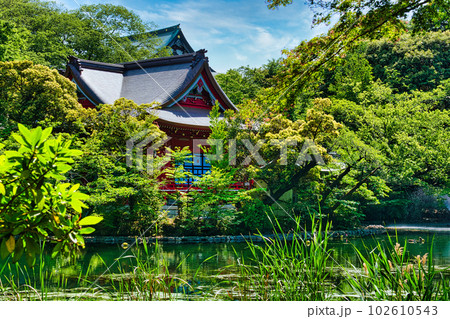 新緑の綺麗な春井の頭恩賜公園 井の頭弁財天の風景 新緑の綺麗な春井の頭恩賜公園 井の頭弁財天の風景 102610543