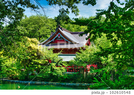 新緑の綺麗な春井の頭恩賜公園 井の頭弁財天の風景 新緑の綺麗な春井の頭恩賜公園 井の頭弁財天の風景 102610548