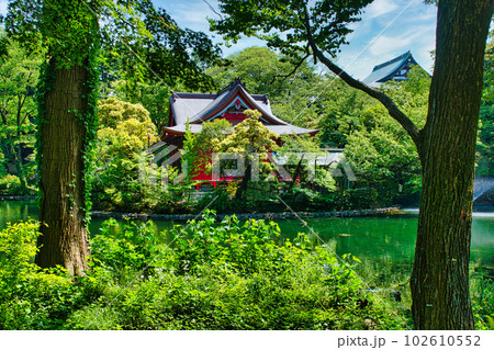 新緑の綺麗な春井の頭恩賜公園 井の頭弁財天の風景 新緑の綺麗な春井の頭恩賜公園 井の頭弁財天の風景 102610552