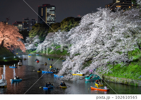 《東京都》春の千鳥ヶ淵・桜満開の夜景 102610565