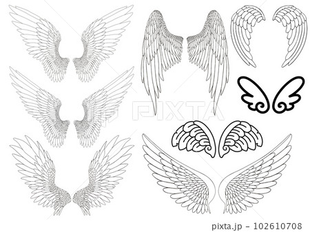 翼 羽 飛翔 線画 モノクロ 翼 羽 飛翔 線画 モノクロ 102610708