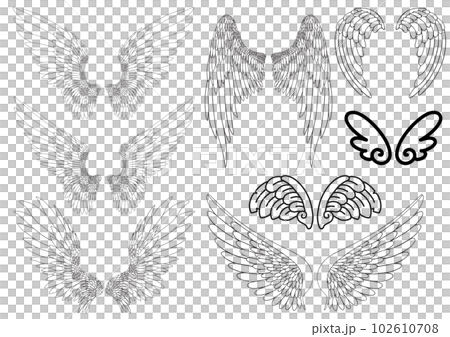 翼 羽 飛翔 線画 モノクロ 翼 羽 飛翔 線画 モノクロ 102610708