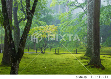 京都大原の夏　豪雨の三千院　有清園 102610913