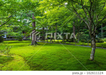 京都大原の夏　緑豊かな三千院　有清園 102611124