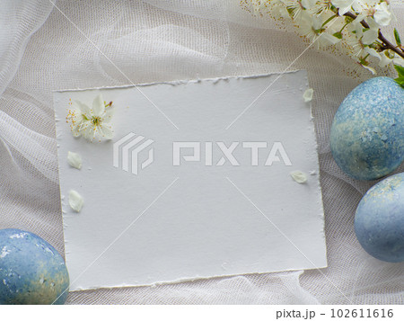 Light blue painted easter eggs on white background with copy space Light blue painted easter eggs on white background with copy space 102611616