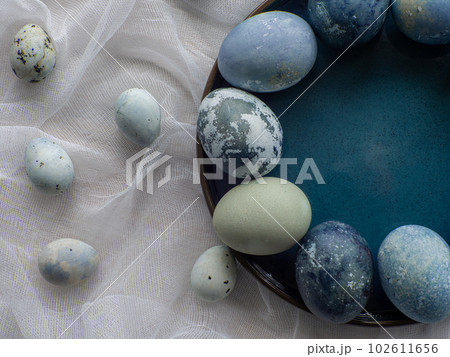 Blue painted easter eggs on white background 102611656