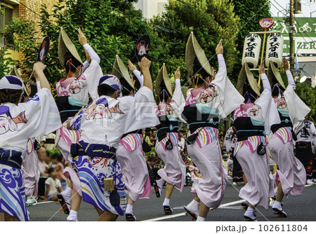 東京都 高円寺阿波おどり 東京都 高円寺阿波おどり 102611804