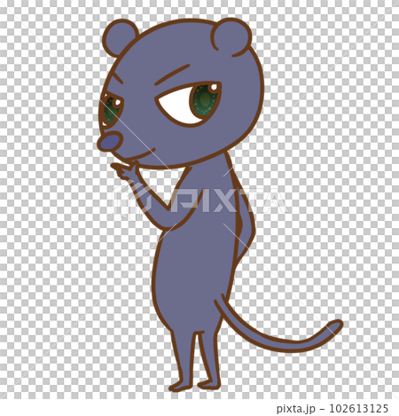 Black leopard 102613125