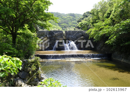 沖縄比地大滝キャンプ場 102613967