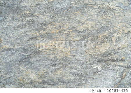 岩の表面　岩肌の質感・背景（長瀞岩畳の表面） 102614436
