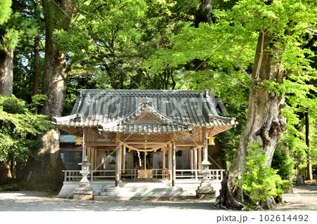水屋神社(拝殿と大ムク)　【三重県松阪市】 102614492