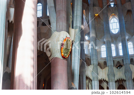 スペイン　サグラダ・ファミリア　聖堂内 102614594