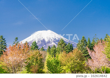 （山梨県）富士山レーダードーム館から見る富士山 102614642