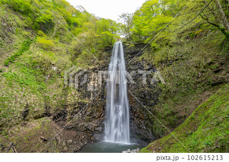 玉簾の滝　新緑 102615213