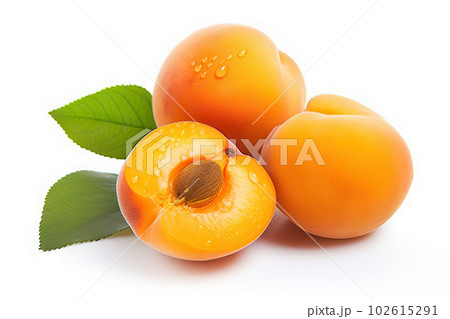 Juicy and Ripe Apricots with Water Droplets Isolated on White Background. created with Generative AI Juicy and Ripe Apricots with Water Droplets Isolated on White Background. created with Generative AI 102615291