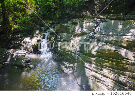 moss covered rocks in the creek. outdoor nature scenery of carpathian woodland moss covered rocks in the creek. outdoor nature scenery of carpathian woodland 102616046