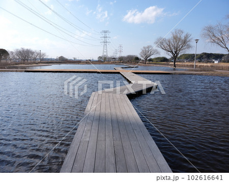 利根親水公園 102616641