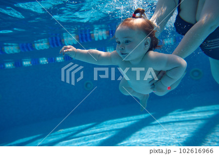 Cute, beautiful, little baby girl, toddler swimming underwater in swimming pool with mother holding her. Water sports activity 102616966