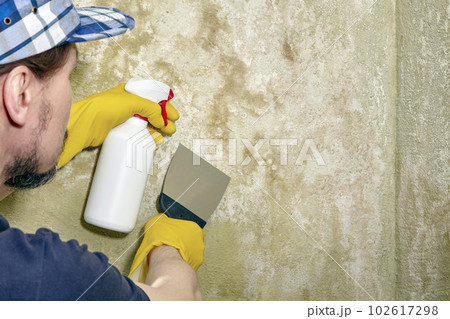 A male builder with a sprayer and a spatula cleans the wall from mold and mildew A male builder with a sprayer and a spatula cleans the wall from mold and mildew 102617298