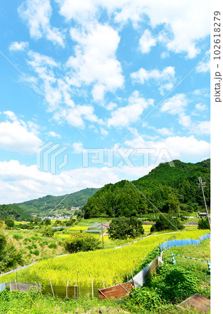 のどかな田園風景 オールドレンズ のどかな田園風景 オールドレンズ 102618279