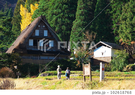 富山県南砺市　相倉合掌村　晩秋の朝霧煙る合掌造りの家 102618768