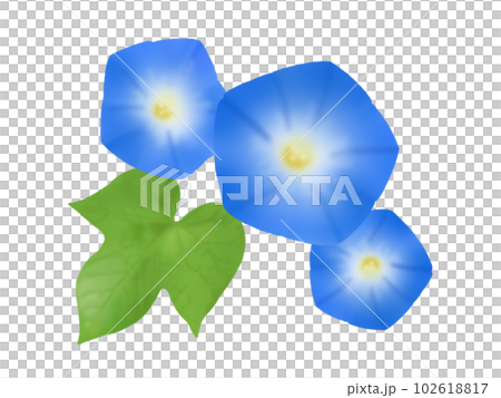 喇叭花 102618817