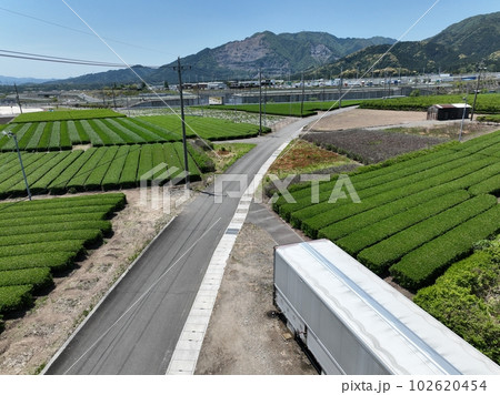 三重県鈴鹿市の茶畑、鈴鹿サービスエリアの風景 三重県鈴鹿市の茶畑、鈴鹿サービスエリアの風景 102620454