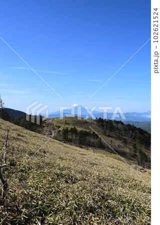 百名山「大菩薩嶺」から望む富士山 102621524