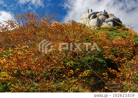 紅葉の中央アルプス・池山尾根から見る駒石 102621819