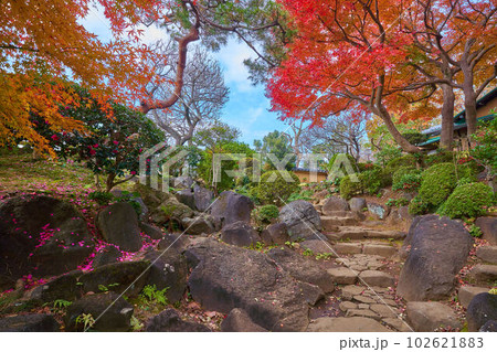 秋の東京都世田谷区の等々力渓谷内の日本庭園 秋の東京都世田谷区の等々力渓谷内の日本庭園 102621883