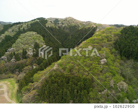 里山の深緑 空撮 里山の深緑 空撮 102622910