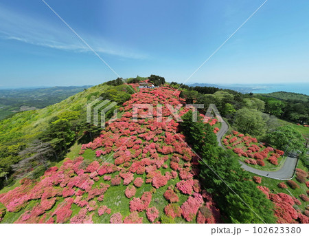 田束山のツツジ　空撮 102623380