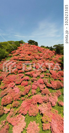 田束山のツツジ　空撮 102623385