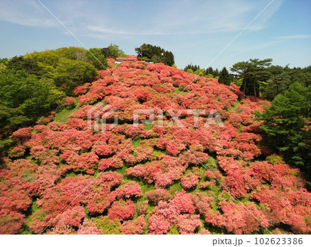 田束山のツツジ　空撮 102623386