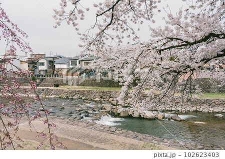 Sightseeing on Kajibashi bridge near Miyagawa Morning Market in Takayama Japan 102623403
