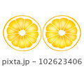 日向夏　断面 102623406