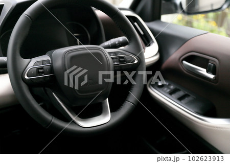 自動車の運転席 102623913