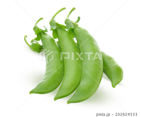green beans on white background .vegetable for health. 102624533